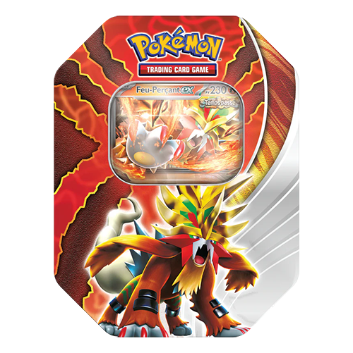 Pokebox Feu Perçant